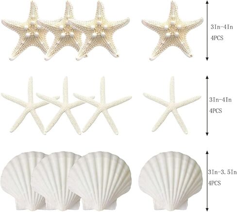 JQAQJU 12PCS Large Starfish and Scallop Shells for Crafts 3-4Inch Seashells in Saudi Arabia