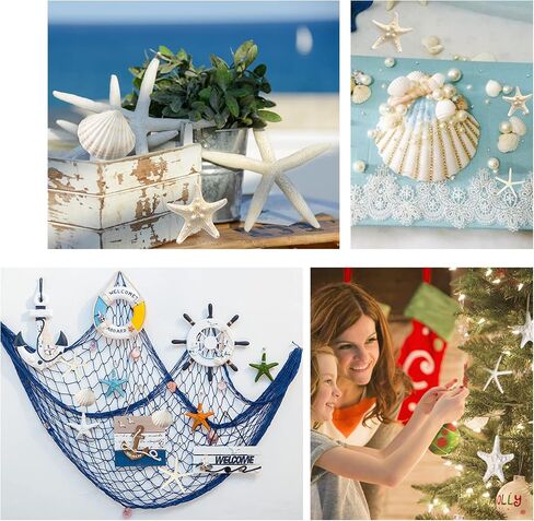JQAQJU 12PCS Large Starfish and Scallop Shells for Crafts 3-4Inch Seashells in Saudi Arabia