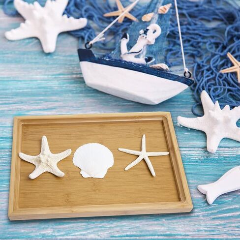 JQAQJU 12PCS Large Starfish and Scallop Shells for Crafts 3-4Inch Seashells in Saudi Arabia