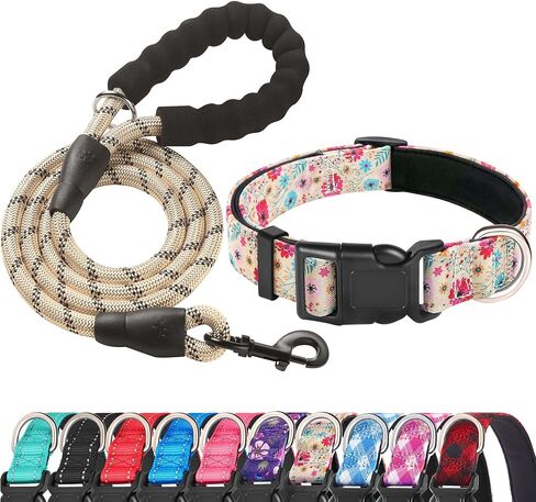 Ladoogo Reflective Dog Collar Padded with Soft Neoprene, Medium, Turquoise in Kuwait