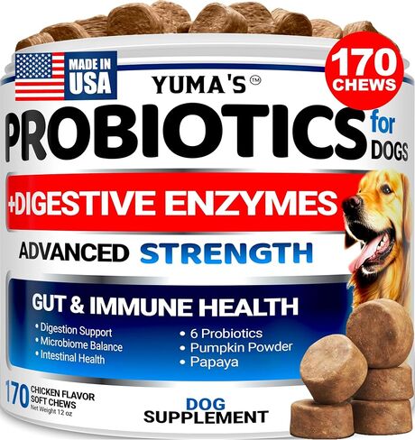 Probiotics for Dogs and Digestive Enzymes, 170 Treats, Dog Probiotics Chews in Kuwait