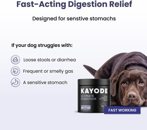 Kayode Ultimate Digestion. Fast Facting Anti Diarrhea for Dogs. Dog Fart Remedy & Dog Gas Relief. Natural Nutrients for Healthier, Firmer Stools. Pumpkin & Digestive Enzymes for Dogs. in Saudi Arabia