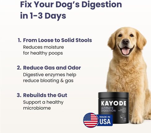 Kayode Ultimate Digestion. Fast Facting Anti Diarrhea for Dogs. Dog Fart Remedy & Dog Gas Relief. Natural Nutrients for Healthier, Firmer Stools. Pumpkin & Digestive Enzymes for Dogs. in Saudi Arabia