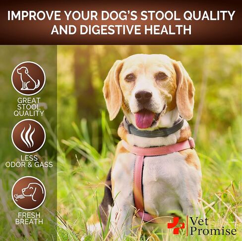 Super Poop Probiotics for Dogs Chews - Dog Stool Softener - Made in USA in Kuwait