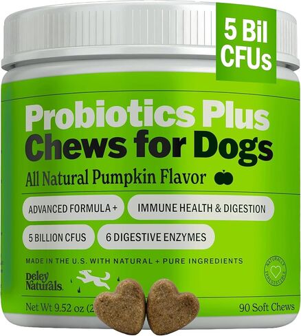 Deley Naturals Probiotics Plus Chews for Dogs - Gut Health Supplement with 5 Billion CFU's & Digestive Enzymes - Prebiotics for Dog Allergies, Diarrhea & Yeast - 90 Count Pumpkin Flavor Made in USA in Kuwait