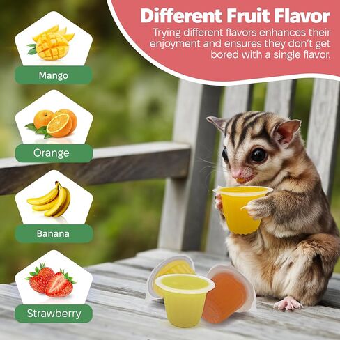 Pet Jelly Pods Variety Pack - Nutritious Jelly Fruit Nectar Treats for Geckos, Sugar Gliders, Birds, Small Pets - Real Fruit Juice - 40 Cups in Kuwait