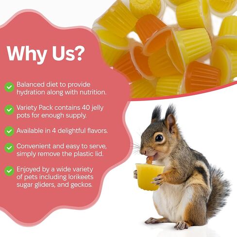 Pet Jelly Pods Variety Pack - Nutritious Jelly Fruit Nectar Treats for Geckos, Sugar Gliders, Birds, Small Pets - Real Fruit Juice - 40 Cups in Kuwait