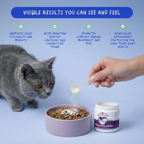 Hip & Joint Powder for Cats - Glucosamine, MSM & Green Lipped Mussel in Kuwait