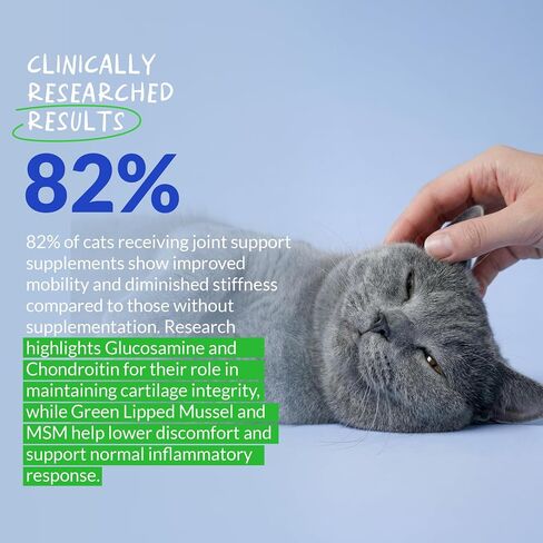 Hip & Joint Powder for Cats - Glucosamine, MSM & Green Lipped Mussel in Kuwait