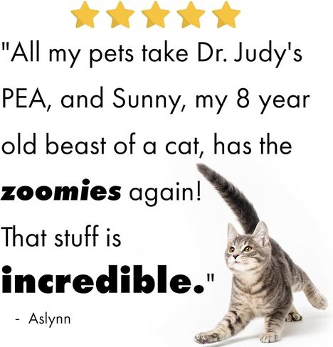 Feline Essentials | Dr. Judy’s Pea (Palmitoylethanolamide) for Cats | Hip & Joint, Comfort & Mobility, Overall Well-Being, & Immune Support | 9g in Kuwait