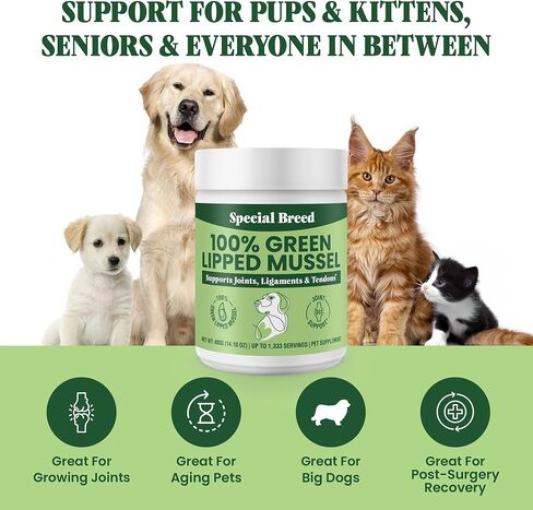 Special Breed Green Lipped Mussel Powder for Dogs & Cats - 100% New Zealand Green Lipped Mussels - 400 Grams - 1,333 Servings in Saudi Arabia