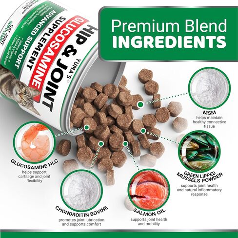 Cat Hip and Joint Health Supplement Chews – Advanced Glucosamine for Cats in Kuwait