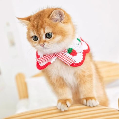 Qiansail Cute Cat Collars, Dog Bow Tie Collar with Strawberry Pattern Small Puppies Outfits Pet Clothes for Kitten Puppy (Red) in Saudi Arabia