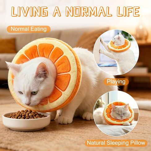 Orange Soft Cat Cone Collar Comfortable Adjustable Recovery Collars in Saudi Arabia