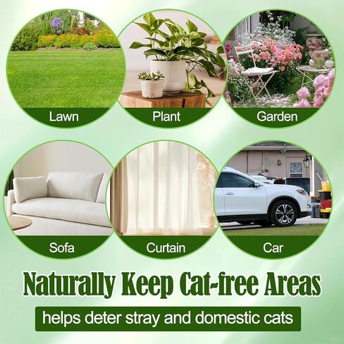 Cat Deterrent Outdoor & Indoor, 10pcs Peppermint Mint Cat Deterrent Balls in Kuwait