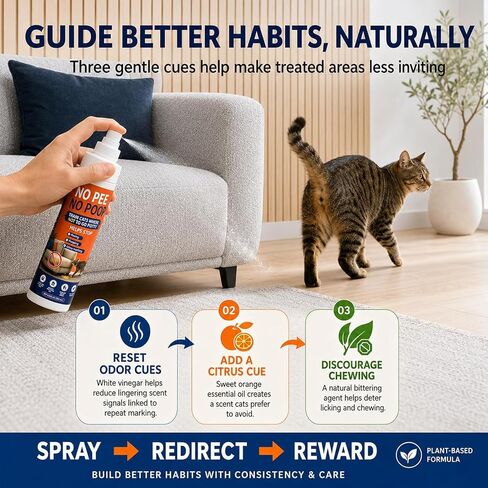 Cat Deterrent Spray NO Pee Cat Training Spray for Indoor Cats, Helps Stop Repeat Peeing & Urine Marking, Gentle Formula Safe for Furniture, 2 Pack 100ml，Floors & Home 7.0 Oz in Kuwait