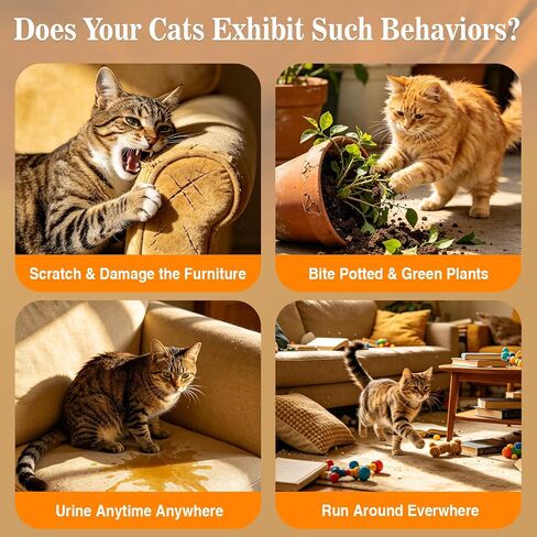 Pjordo Citrus Scent Cat Deterrent Spray, Stop Cat Chewing & Scratching, 4oz in Kuwait