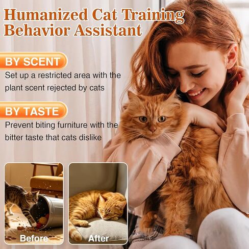 Pjordo Citrus Scent Cat Deterrent Spray, Stop Cat Chewing & Scratching, 4oz in Kuwait