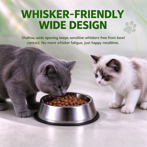 3 Pcs Non-Slip Stainless Steel Small Cat Food Bowls Thicken 7 Oz Cat Dishes in Saudi Arabia