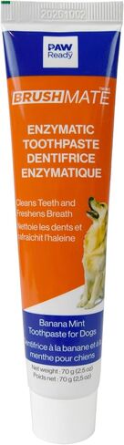 Paw Ready Enzymatic Toothpaste for Dogs, Banana Mint in Kuwait