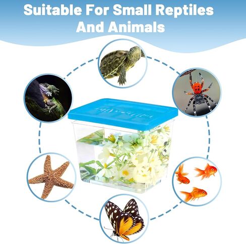 25 Pack Plastic Fish Bowl with Lids, 12 Oz Small Terrariums Carrier Cage in Saudi Arabia