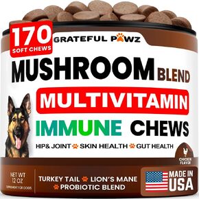 Turkey Tail Mushroom Supplement for Dogs - Multivitamin for Dogs, 170 Chews in Kuwait