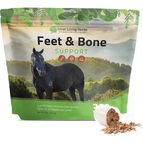 Silver Lining Herbs Feet & Bone Horse Hoof Supplements, Tendons in Kuwait