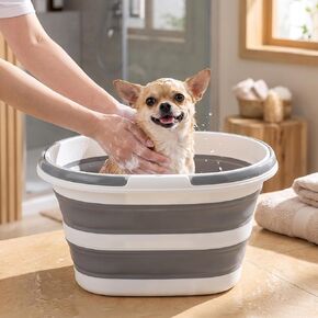 16L Collapsible Small Dog Bath Tub: Portable Puppy Kitten Pet Shower Tub in Kuwait