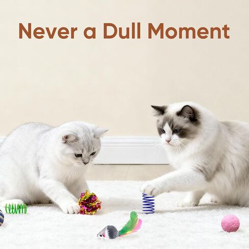 Cat Toys for Indoor Cats, 35 Packs Interactive Cat Toys Set for Kitten in Kuwait