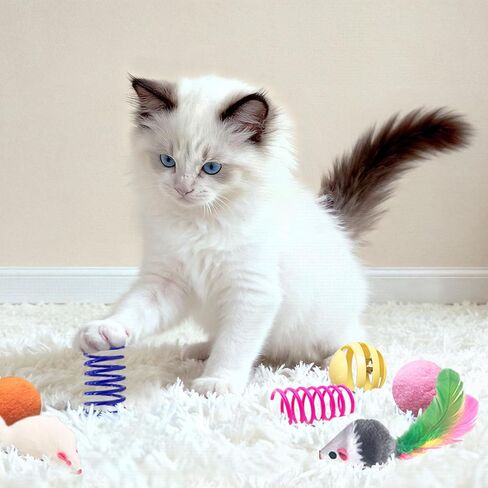Cat Toys for Indoor Cats, 35 Packs Interactive Cat Toys Set for Kitten in Kuwait