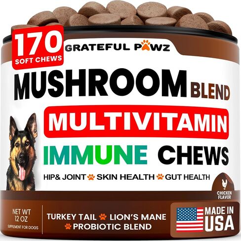 Turkey Tail Mushroom Supplement for Dogs - Multivitamin for Dogs, 170 Chews in Kuwait