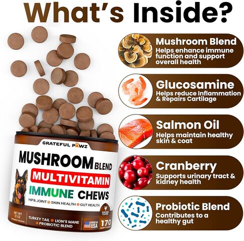 Turkey Tail Mushroom Supplement for Dogs - Multivitamin for Dogs, 170 Chews in Kuwait