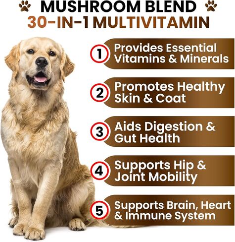 Turkey Tail Mushroom Supplement for Dogs - Multivitamin for Dogs, 170 Chews in Kuwait