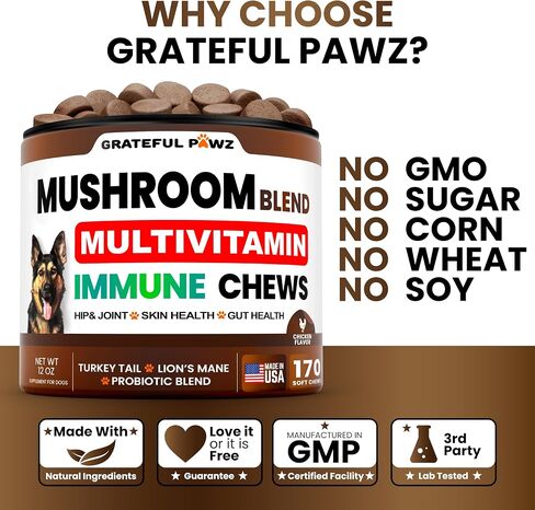 Turkey Tail Mushroom Supplement for Dogs - Multivitamin for Dogs, 170 Chews in Kuwait