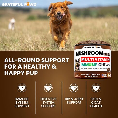 Turkey Tail Mushroom Supplement for Dogs - Multivitamin for Dogs, 170 Chews in Kuwait