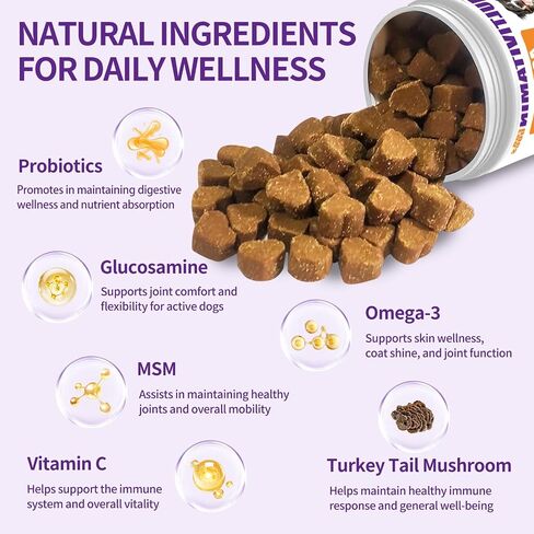 40 in 1 Dog Vitamins and Supplements 200Ct Dog Multivitamin Chewable, Immunity Support Multivitamin Vitamins with Turkey Tail Mushroom, Skin & Coat, Mobility, Gut & Heart Health, Hip & Joint Support in Saudi Arabia