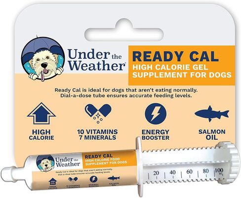 Under the Weather Pet | Ready Cal for Dogs 100cc | High Calorie Supplement | Weight Gainer and High Calorie Booster | 10 Vitamins, 7 Minerals & Omega Fatty Acids in Saudi Arabia