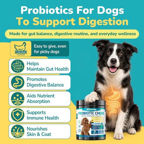Woyamay Probiotics for Dogs, Dog Probiotics Chews, Gut & Digestive Support in Saudi Arabia