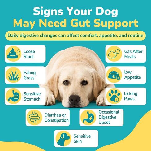 Woyamay Probiotics for Dogs, Dog Probiotics Chews, Gut & Digestive Support in Saudi Arabia