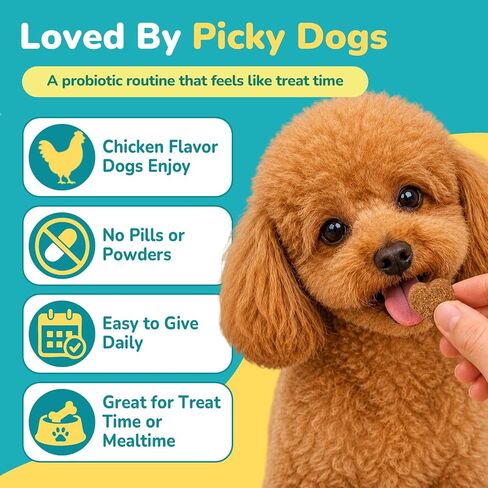 Woyamay Probiotics for Dogs, Dog Probiotics Chews, Gut & Digestive Support in Saudi Arabia