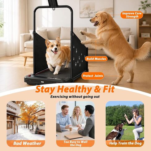 Dog Treadmill for Medium Small Dogs - 4 in 1 Pet Running Machine in Kuwait