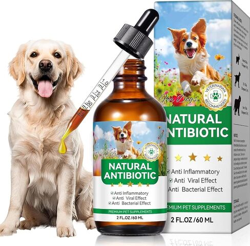 Antibiotics for Dogs, Natural Antibiotics for Dogs, Dog Antibiotics for Infection Supports Immune & Dogs Allergy Relief, Dog Multivitamin UTI Drops Natural Supplement for All Ages & Breeds in Kuwait