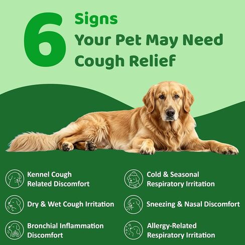 Dog Cough Relief Liquid Drops - Kennel Cough Treatment for Dogs & Cats - Better Absorption Than Soft Chews - 9 Natural Herbs with Postbiotics - 120mL/4.1 fl oz Value Pack for Respiratory Support in Saudi Arabia