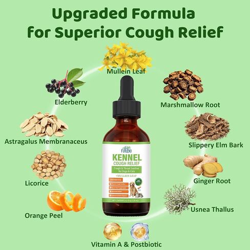 Dog Cough Relief Liquid Drops - Kennel Cough Treatment for Dogs & Cats - Better Absorption Than Soft Chews - 9 Natural Herbs with Postbiotics - 120mL/4.1 fl oz Value Pack for Respiratory Support in Saudi Arabia