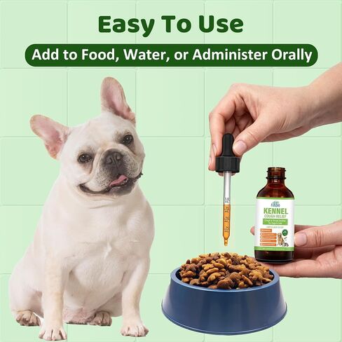 Dog Cough Relief Liquid Drops - Kennel Cough Treatment for Dogs & Cats - Better Absorption Than Soft Chews - 9 Natural Herbs with Postbiotics - 120mL/4.1 fl oz Value Pack for Respiratory Support in Saudi Arabia