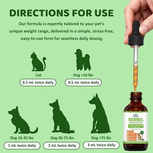 Dog Cough Relief Liquid Drops - Kennel Cough Treatment for Dogs & Cats - Better Absorption Than Soft Chews - 9 Natural Herbs with Postbiotics - 120mL/4.1 fl oz Value Pack for Respiratory Support in Saudi Arabia