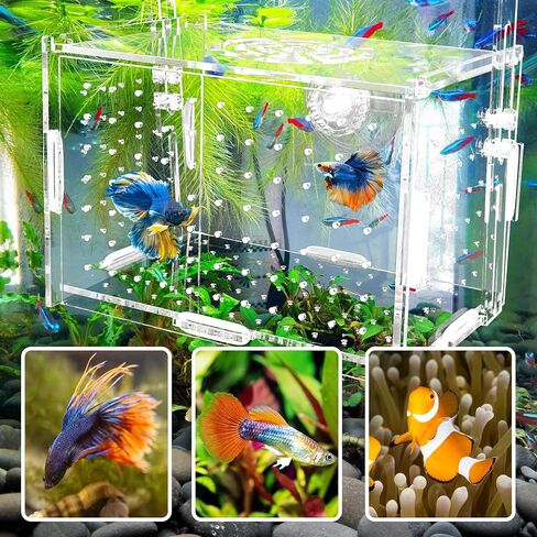 Hamiledyi Acrylic Breeding Isolation Box - Transparent Aquarium Hatchery for Guppy/Shrimp/Small Fish, Safe Nursery Tank with Air Tube & Suction Cups(5.9" × 3.9" × 3.9") in Saudi Arabia