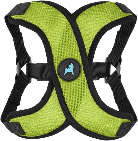 Gooby Comfort X Step-in Lite Harness, Choke-Free, Blue, Medium in Kuwait