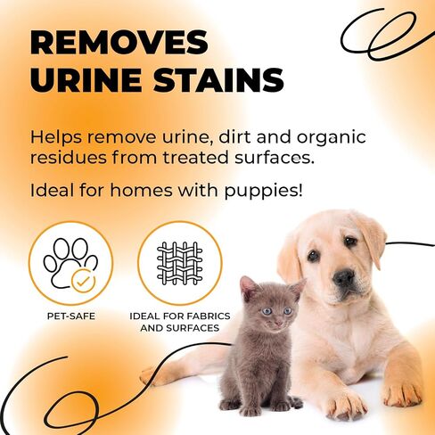 NoPeey Dog Urine Stain & Odor Eliminator Deterrent Effect 1 Quart in Kuwait