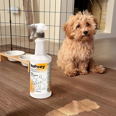 NoPeey Dog Urine Stain & Odor Eliminator Deterrent Effect 1 Quart in Kuwait
